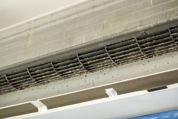 Best Residential Air Duct Cleaning  in Bloomington, CA